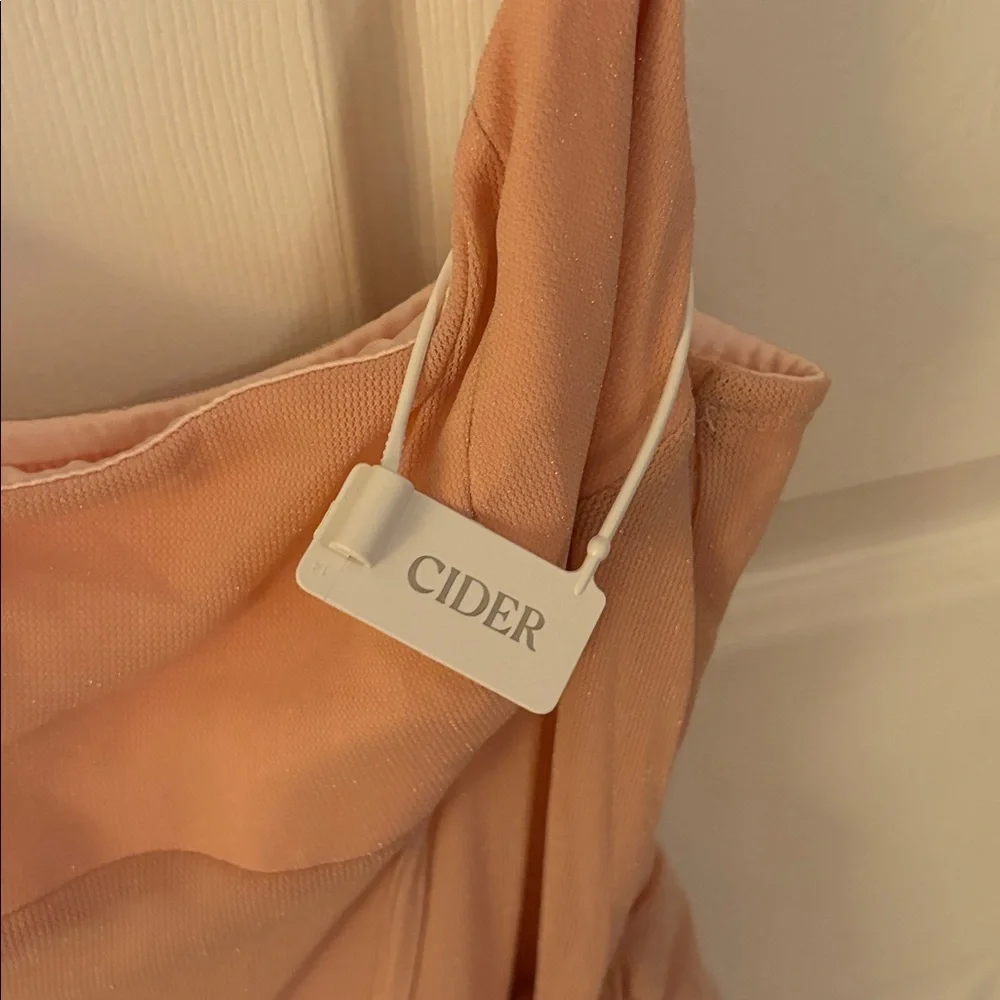 Cider Blush Pink Spaghetti-Strap Slip Dress